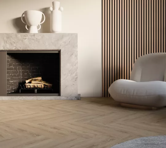 Ficus herringbone